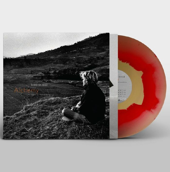 Alchemy: An Index Of Possibilities - Coloured Vinyl LP vinyl record cover