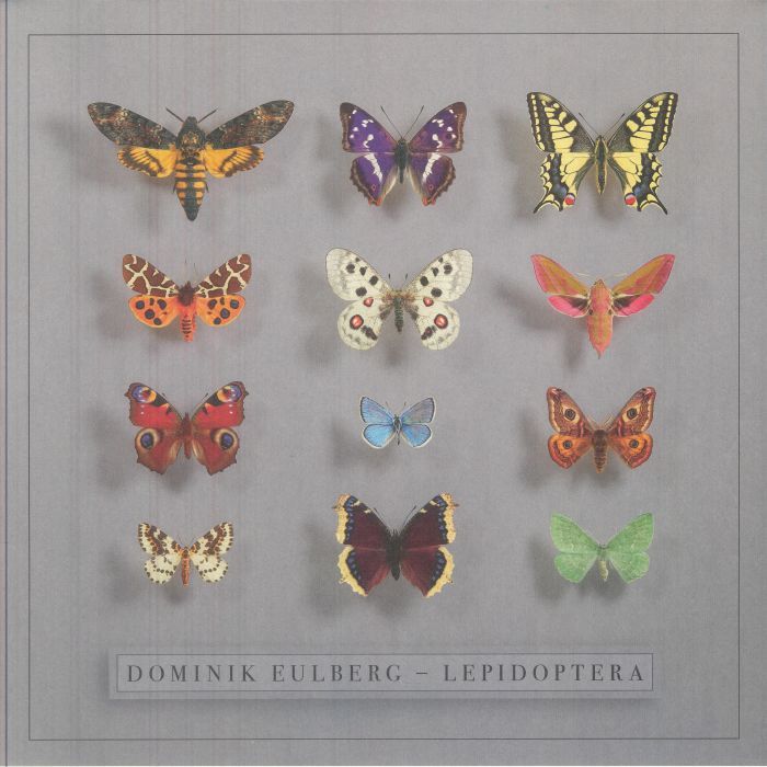 Lepidoptera - 2xLP vinyl record cover