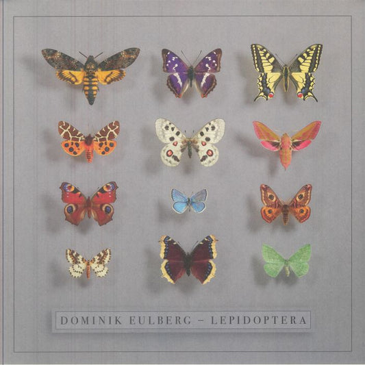 Lepidoptera - 2xLP vinyl record cover