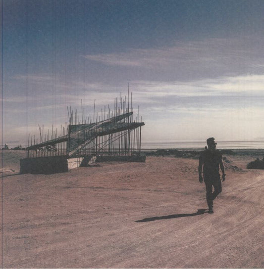 The Salton Sea - Clear Vinyl LP vinyl record cover