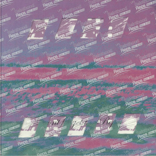 Dull Bliss - Vinyl LP vinyl record cover