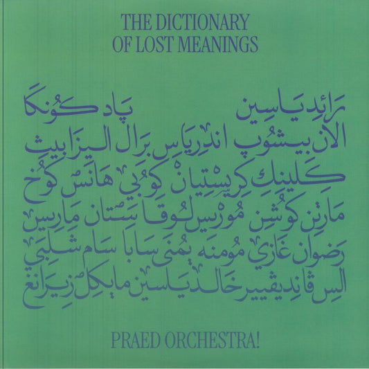 The Dictionary Of Lost Meanings - 2xLP vinyl record cover