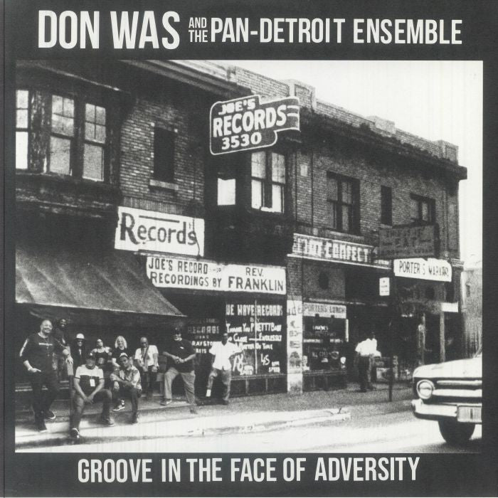 Groove In The Face Of Adversity - Vinyl LP vinyl record cover