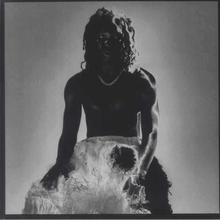 Shadowbox - Vinyl LP vinyl record cover