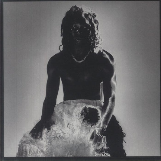 Shadowbox - Vinyl LP vinyl record cover