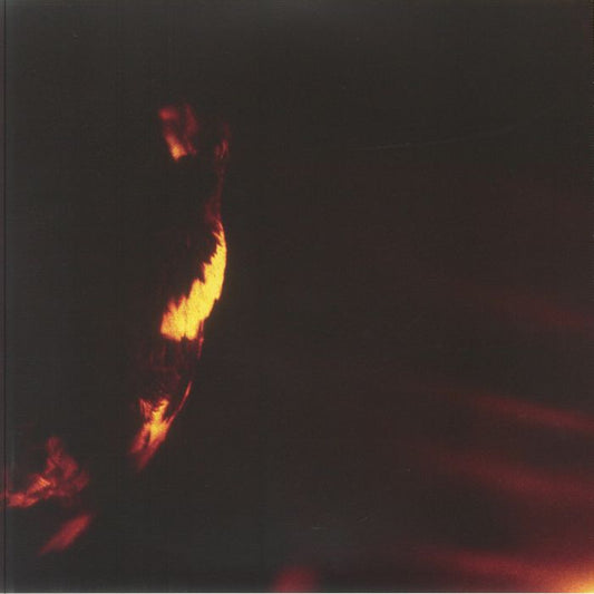 Stormcrowfleet (30th Anniversary Edition) - 2xLP vinyl record cover