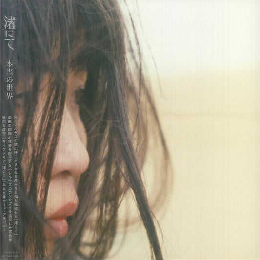 The True World - 2xLP vinyl record cover
