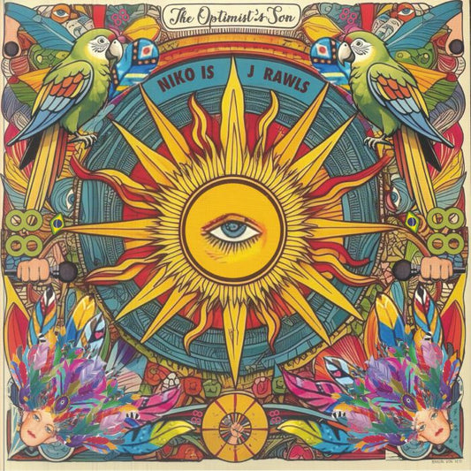 The Optimist's Son - Vinyl LP vinyl record cover