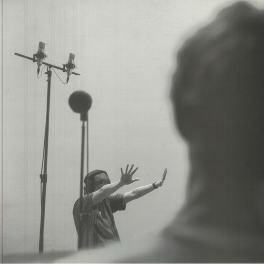 Affordances - Vinyl LP vinyl record cover