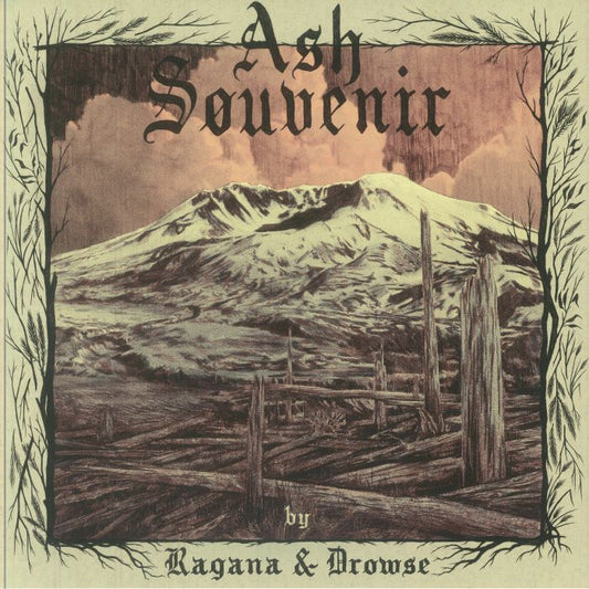 Ash Souvenir - Vinyl LP vinyl record cover