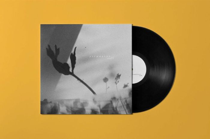 Asymmetry - Vinyl LP vinyl record cover