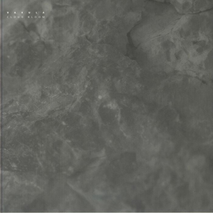 Cloud Bloom - Vinyl EP vinyl record cover