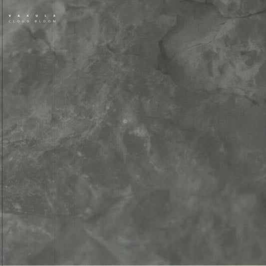 Cloud Bloom - Vinyl EP vinyl record cover