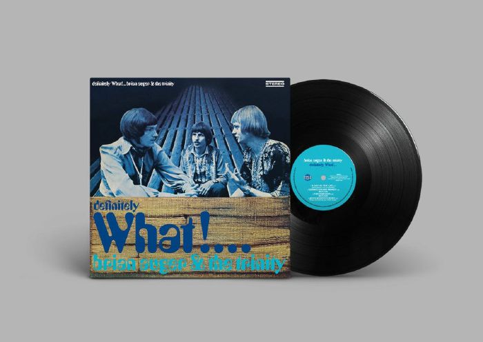 Definitely What! - Vinyl LP vinyl record cover