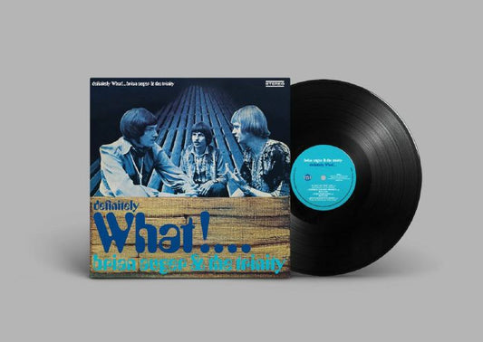 Definitely What! - Vinyl LP vinyl record cover