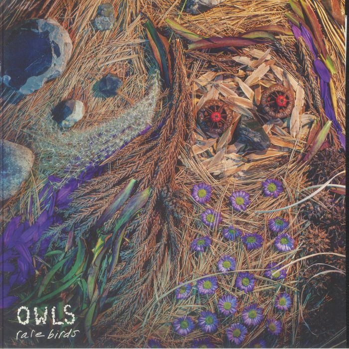 Rare Birds - Limited Edition LP vinyl record cover