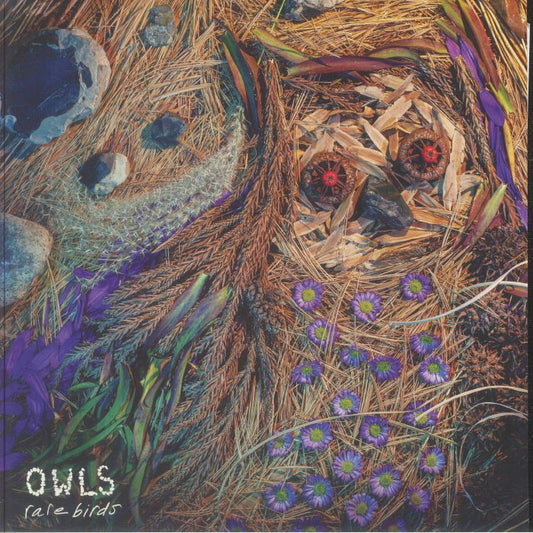 Rare Birds - Limited Edition LP vinyl record cover