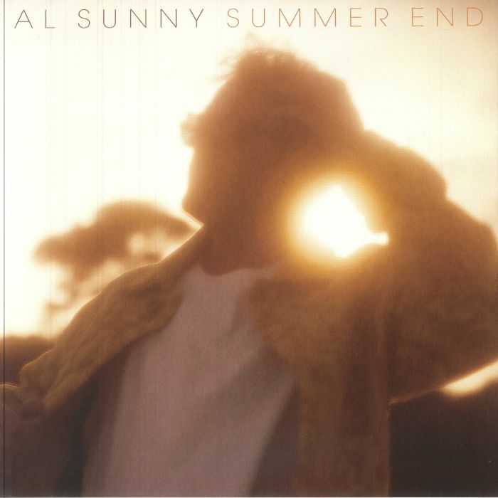 Summer End - Vinyl LP vinyl record cover