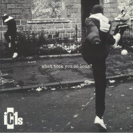 What Took You So Long? - Vinyl LP vinyl record cover