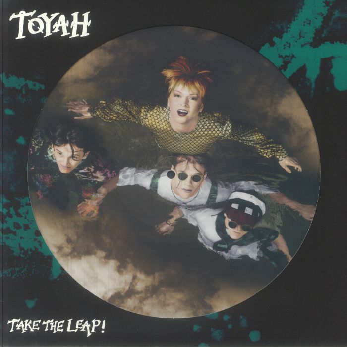 Take The Leap! - Limited Picture Disc Vinyl LP vinyl record cover