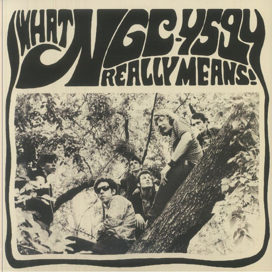 What NGC 4594 Really Means! - Vinyl LP vinyl record cover