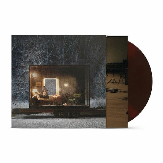 When All Is Said & Done - Limited Edition Brown Vinyl LP vinyl record cover