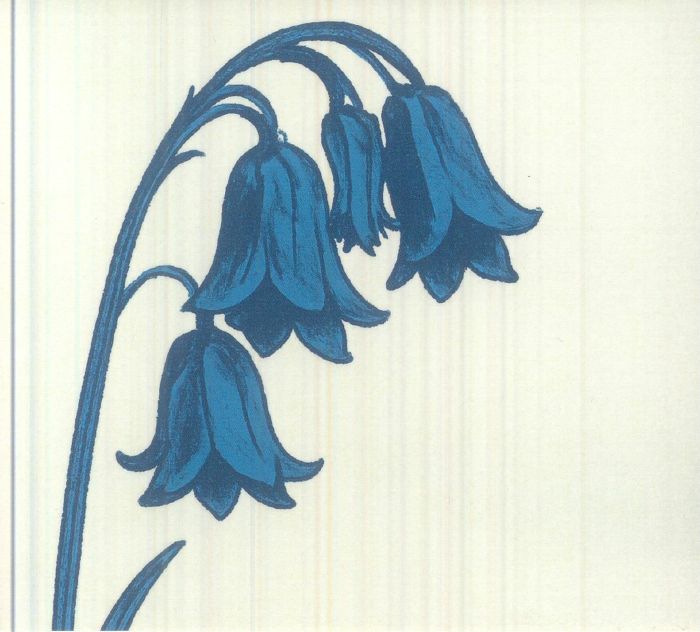 This Is The Bluebells - CD CD cover