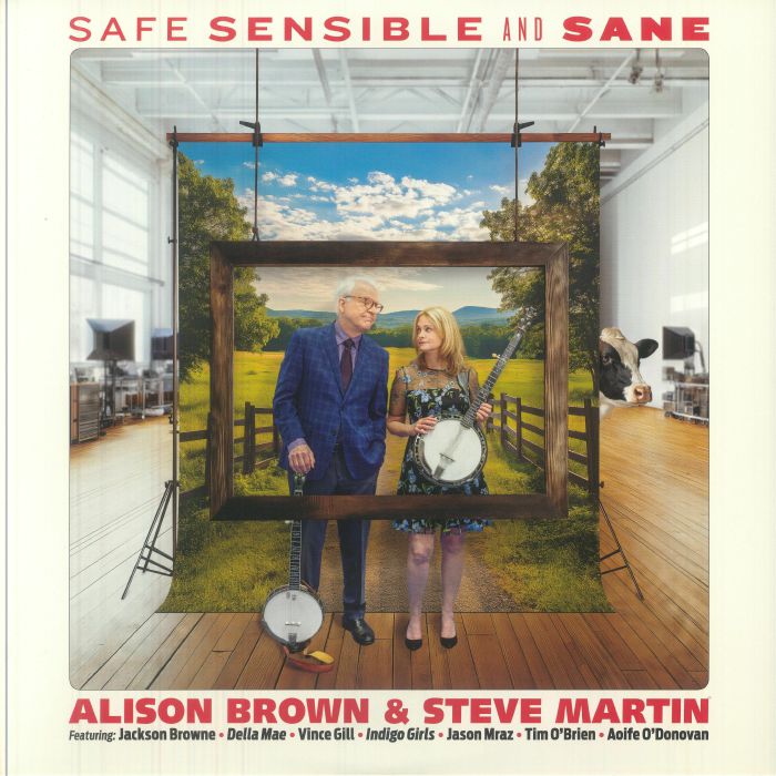 Safe Sensible & Sane - Vinyl LP vinyl record cover