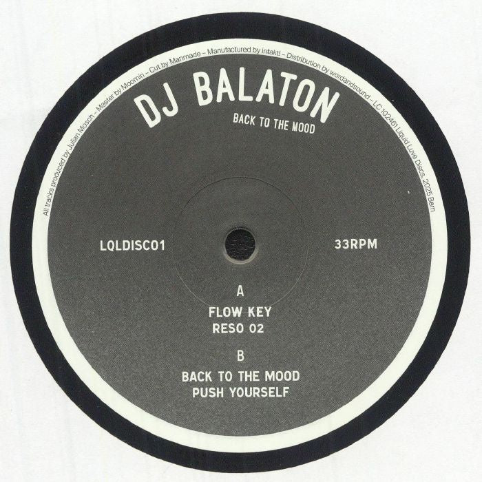 Back To The Mood - Vinyl EP vinyl record cover