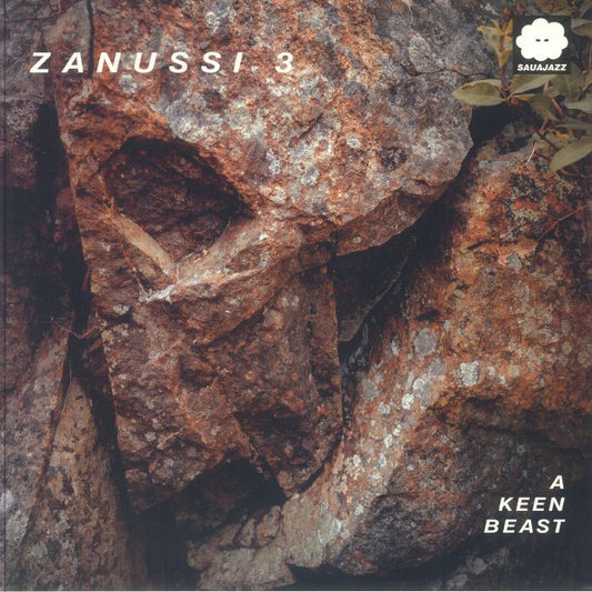 A Keen Beast - Vinyl LP vinyl record cover