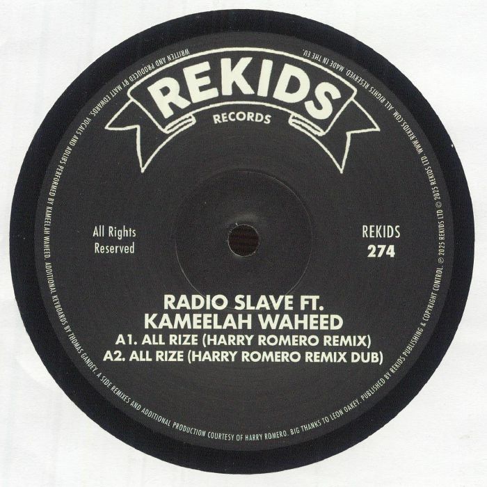 All Rize (Remixes) - Vinyl Single vinyl record cover