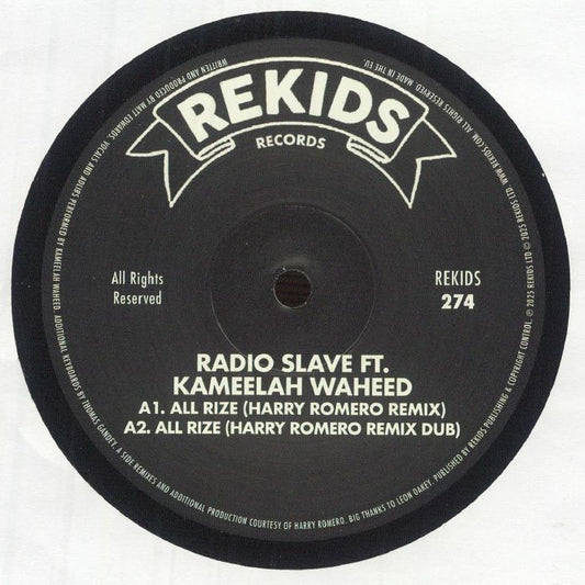 All Rize (Remixes) - Vinyl Single vinyl record cover
