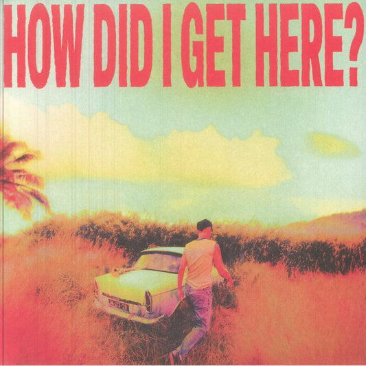 How Did I Get Here? - Indie Exclusive Coloured Vinyl LP vinyl record cover