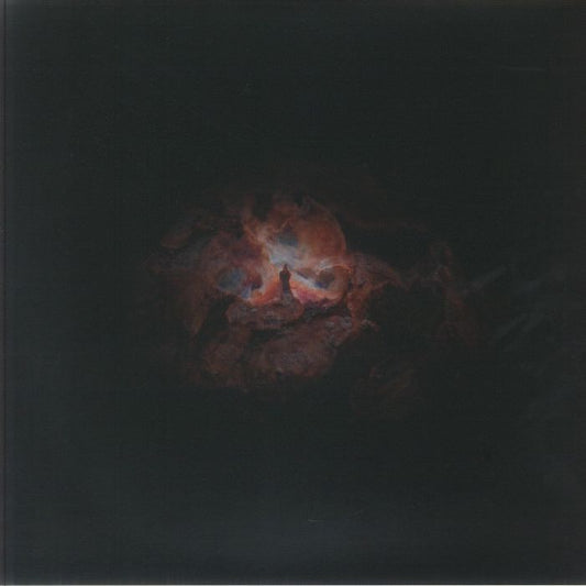 The Dying Of The Light - Limited Edition Vinyl LP vinyl record cover