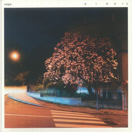 Elders - Vinyl LP vinyl record cover