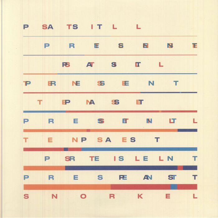 Past Still Present Tense - Gatefold 2xLP vinyl record cover