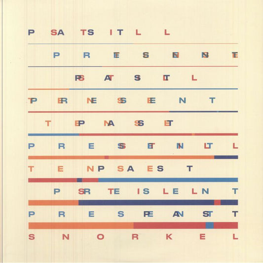 Past Still Present Tense - Gatefold 2xLP vinyl record cover
