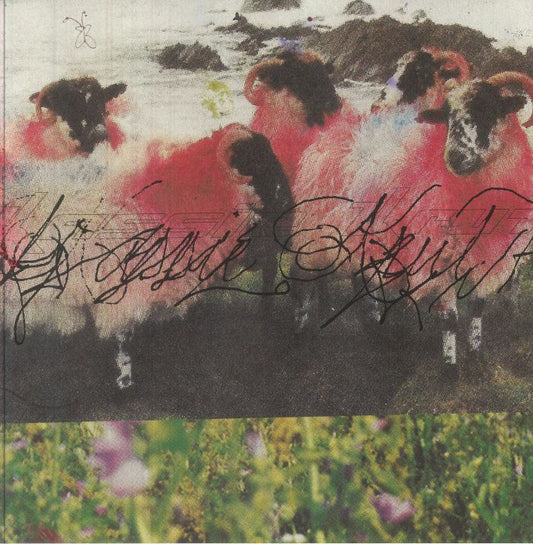 Kassie Krut (Expanded Edition) - Vinyl EP vinyl record cover