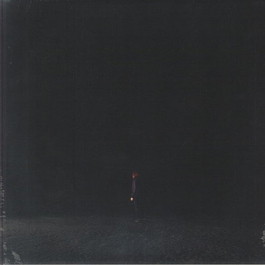 Unreality - Vinyl LP vinyl record cover