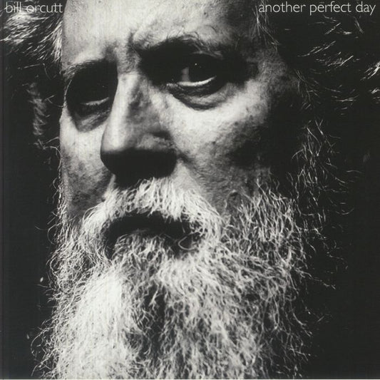 Another Perfect Day - Vinyl LP vinyl record cover
