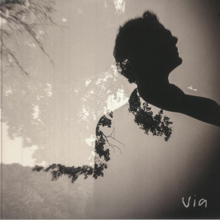 Via - Vinyl LP vinyl record cover