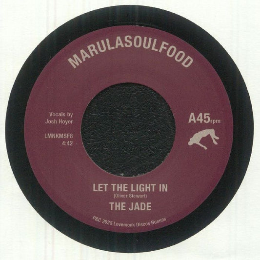 Let The Light In - Vinyl Single vinyl record cover
