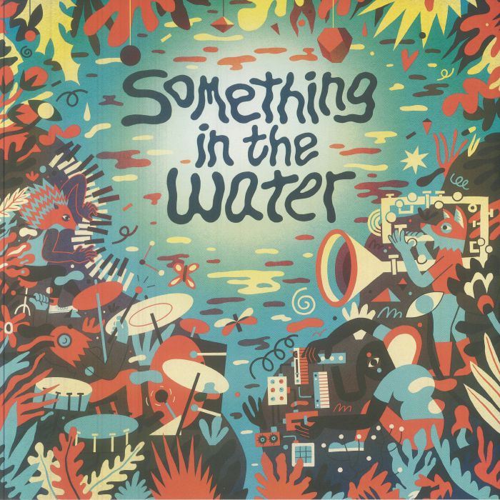 Something In The Water - Vinyl LP vinyl record cover
