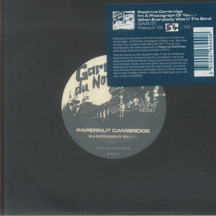 I'm A Photograph Of You - Vinyl Single vinyl record cover