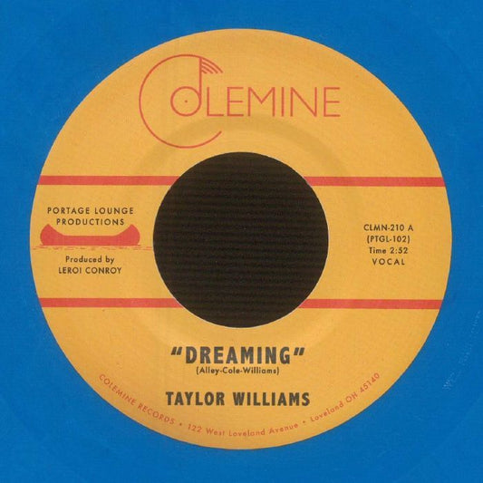 Dreaming - Limited Edition Blue Vinyl Single vinyl record cover