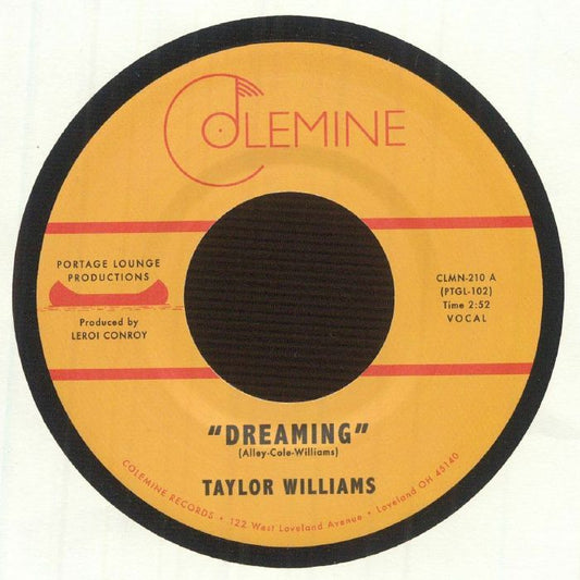 Dreaming - Vinyl Single vinyl record cover