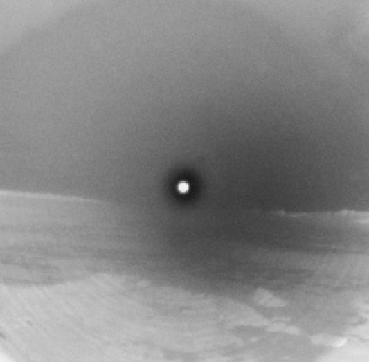 WhiteOut - CD CD cover