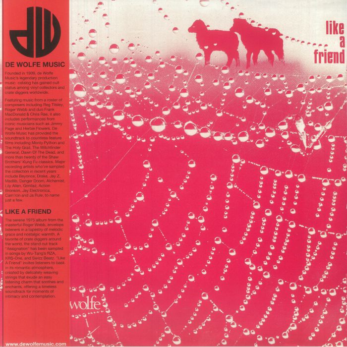 Like A Friend - Vinyl LP vinyl record cover
