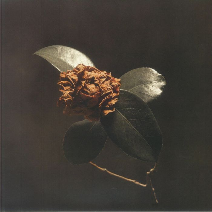 Young Sick Camellia - Limited Edition Clear Vinyl LP vinyl record cover