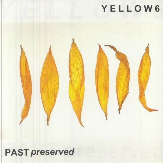 Past Preserved - Yellow Vinyl LP vinyl record cover